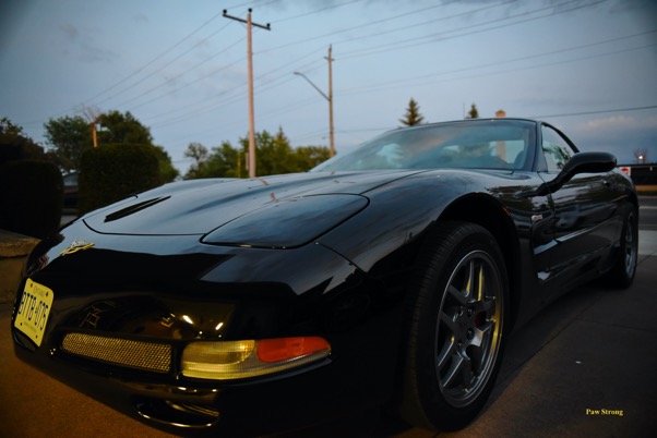 J. Brian Corvette Paw Strong